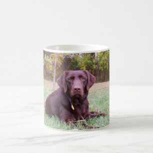 Mug Laboratoire de chocolat