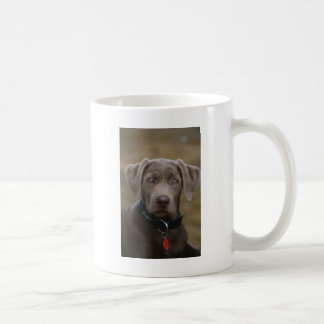 Mug Labrador retriever en argent léger rare