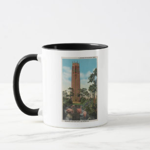 Mug Lac Pays de Galles, FL - vue du chant
