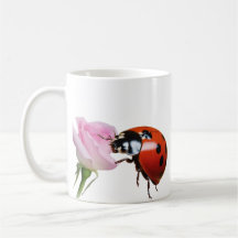 Ladybug World