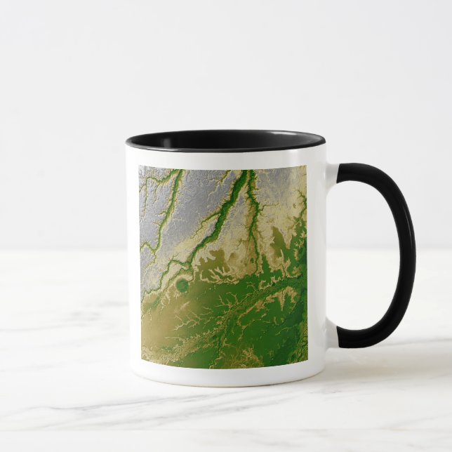 Mug L'Amazonie bolivienne (Droite)