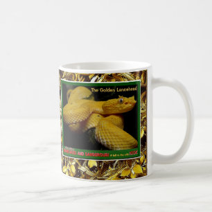 Mug Lancehead d'or est un serpent mis en danger -