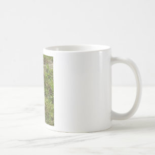Mug Lapin Lapin Lièvre Stups