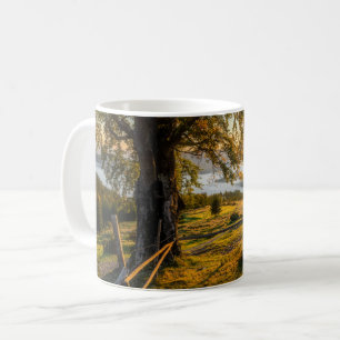 Mug L'aube triste dans une forêt