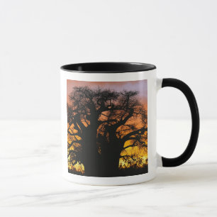 Mug Le baobab africain, Adansonia digitata,