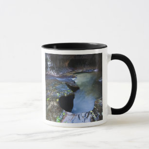 Mug Le canyon de fente de souterrain