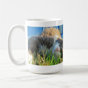 Mug Le chat ensoleillé est ensoleillé