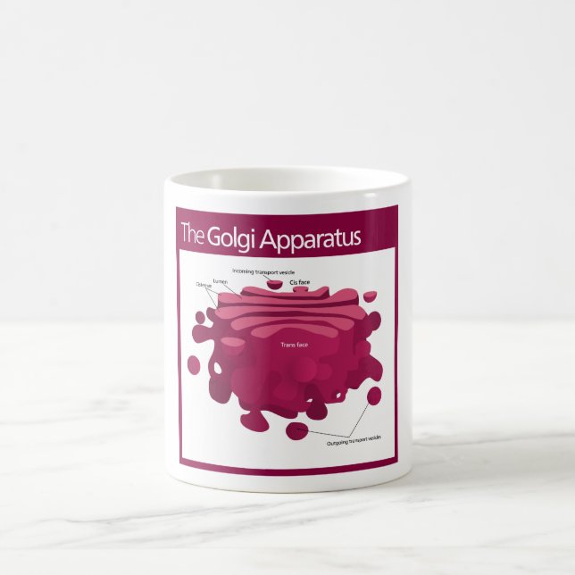 Mug Le diagramme de complexe de Golgi d'appareillage (Centre)