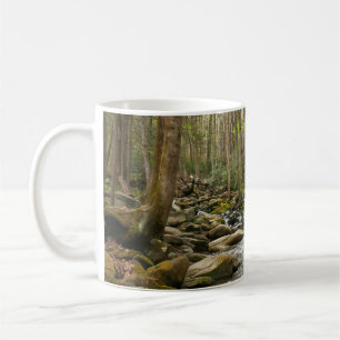 Mug Le ruisseau Le Conte dans les montagnes Great Smok