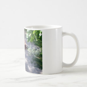 Mug Le temps du chameau ! Zoo Animaux