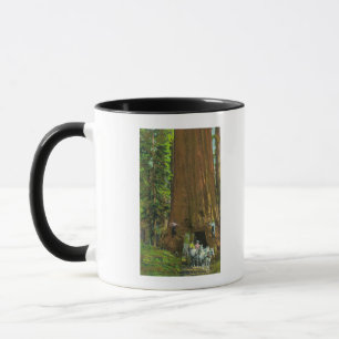 Mug Le transport de chevaux sous un séquoia géant