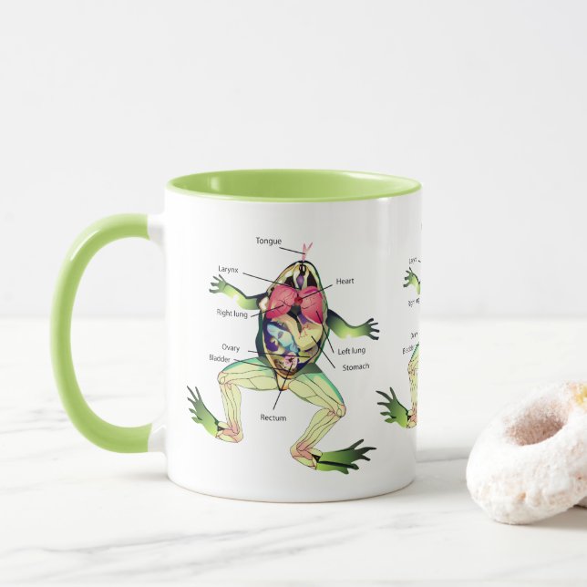 Mug Le vert de l'anatomie de la grenouille (Avec donut)