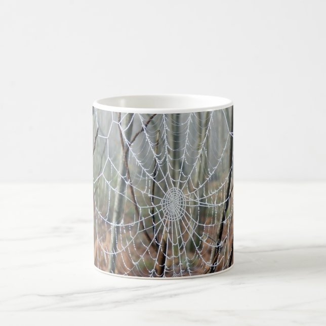 Mug Le Web de l'araignée européenne (Centre)