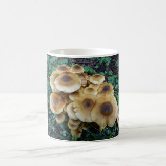Mug Les champignons géniaux attaquent pour aller avec