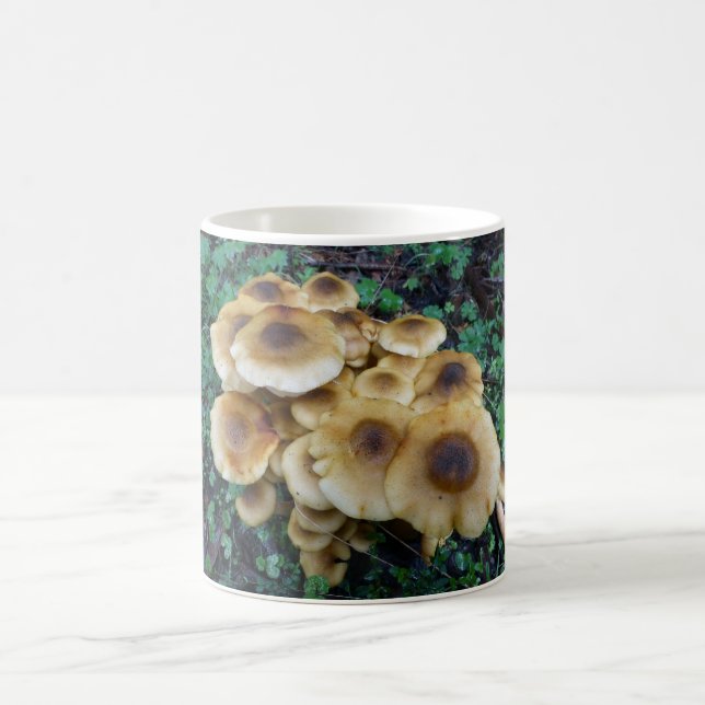 Mug Les champignons géniaux attaquent pour aller avec (Centre)