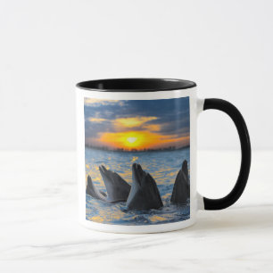 Mug Les dauphins bouteille-flairés dans la lumière d