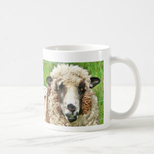 Mug les moutons font face avant café