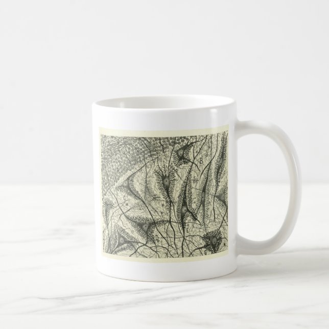 Mug Les neurones 4 de Cajal (Droite)