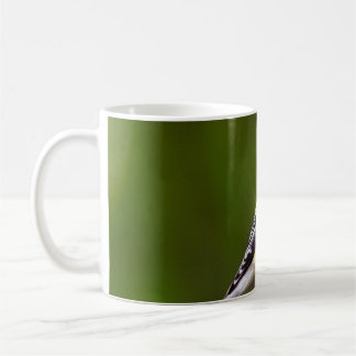 Mug les oiseaux sont les seuls animaux à avoir des plu