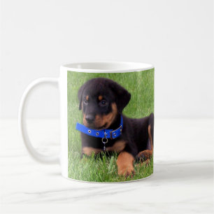 Mug les petits de Rottweiler.