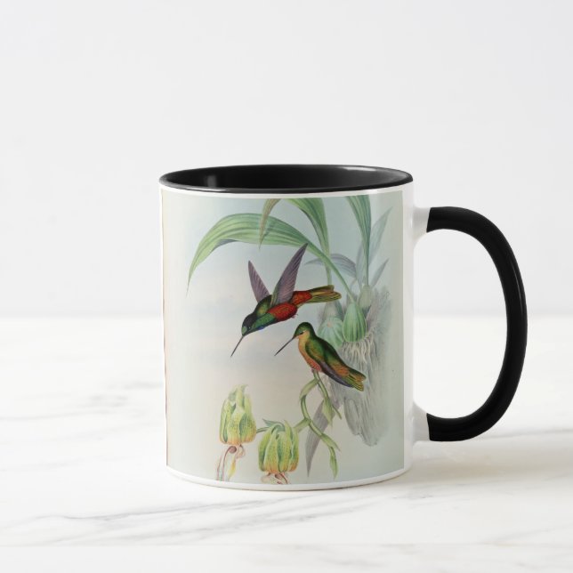 Mug L'étoile de Bonaparte a affronté le colibri (Droite)