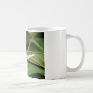 Mug libellule avec fleurs blanches