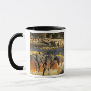 Mug Lichen orange sur des rochers, Binalong Bay, Baie