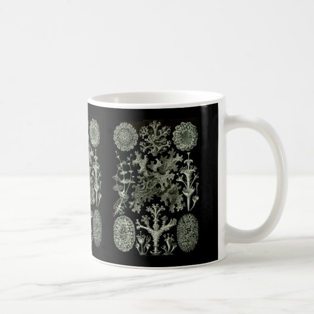 Mug Lichens (Droite)