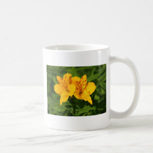 Mug Lilies péruviennes