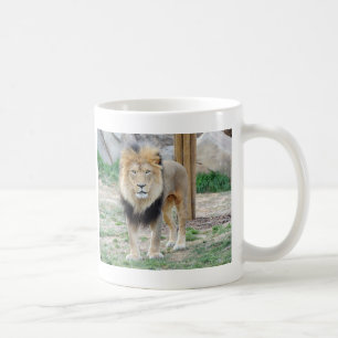 Mug Lion africain