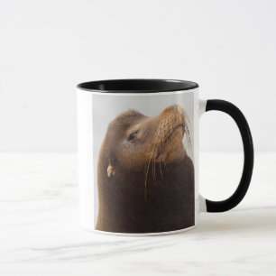 Mug Lion de mer de Californie