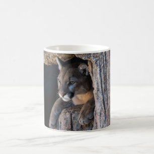 Mug Lion de montagne dans la grotte