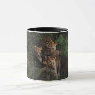 Mug Lioness Et Cub Arrivent À Travers Le Sous-Pinceau,