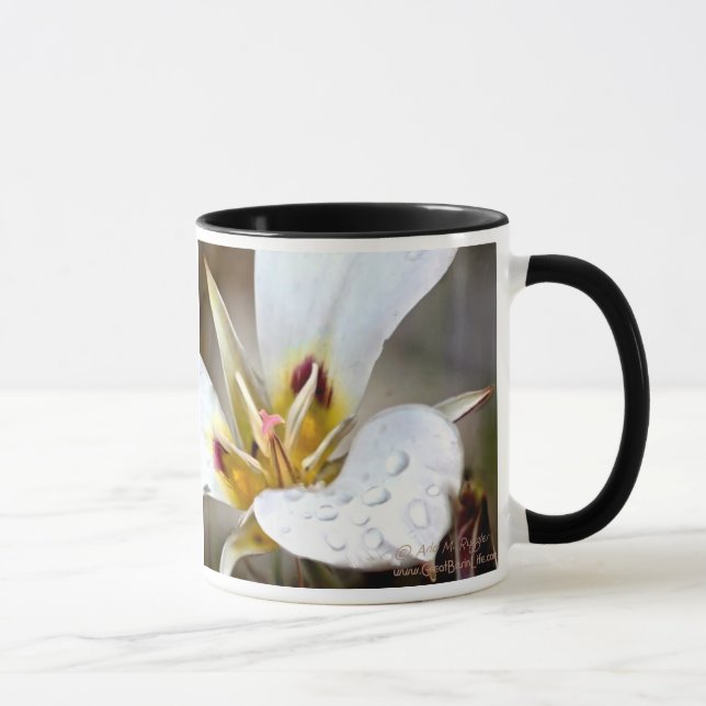 Mug Lis de Sego (Droite)