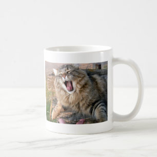 Mug LOL Maine Coon