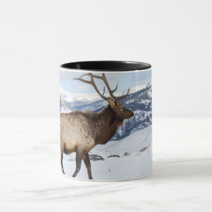 Mug Lone Bull Elk   Parc national de Yellowstone