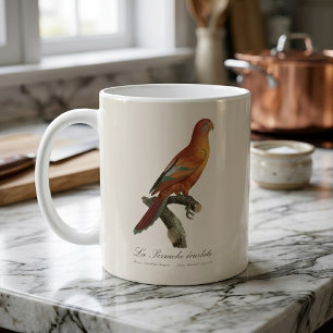 Mug Lori rouge ou Eos Bornea, Trichoglossus borneus