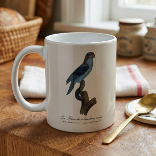 Mug Loriquet Musqué, Trichoglossus concinnus