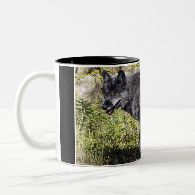 Mug Loup gris Pathfinder (Gauche)