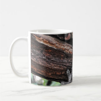 MUG L'OURS DE KOALA DORT SUR L'ARBRE