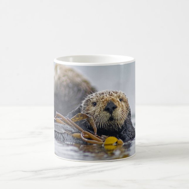 Mug Loutre de mer de la Californie (Centre)