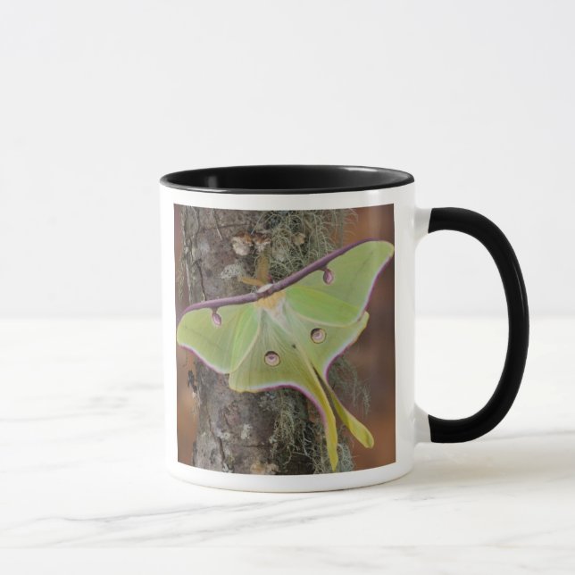 Mug Luna Moth en soie (Droite)