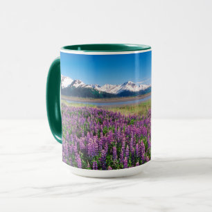 Mug Lupines en fleur   Kenai Mountains, Alaska