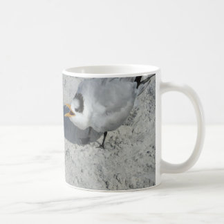 Mug M. et Mme Royal Tern sur la plage
