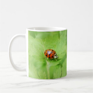 Mug Madame Bug sur la feuille de Feverfew