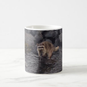 Mug Magic Café de raton laveur