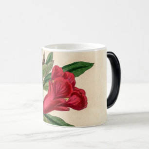 Mug Magic Fleur de grenade - détail de l'illustration vintag