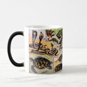 Mug Magic Illustration de Reptiles vintages par Adolphe Mill