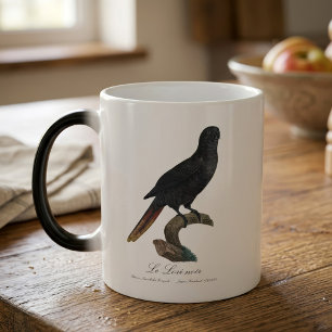 Mug Magic Lori noir ou Lori à bec rouge, Chalcopsitta atra