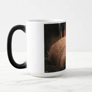 Mug Magic Lundis..